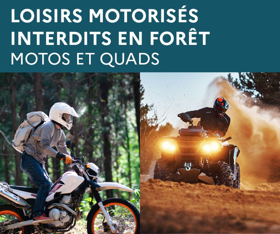 Loisirs motorisés en Forêt